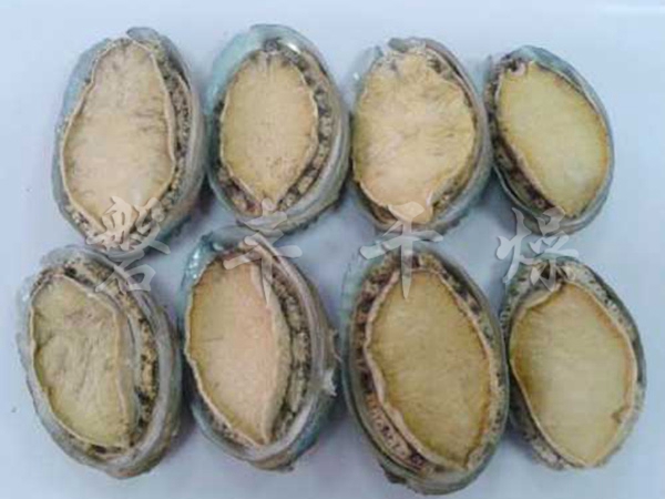 鮑魚(yú)凍干